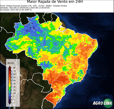 24 horas